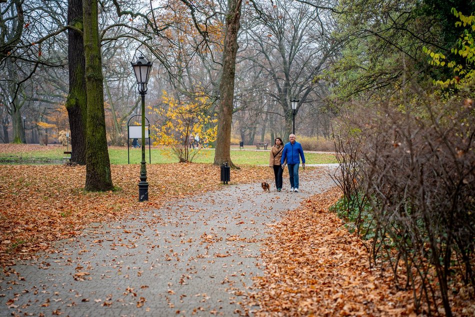 Łódź. Jesień w parku Źródliska