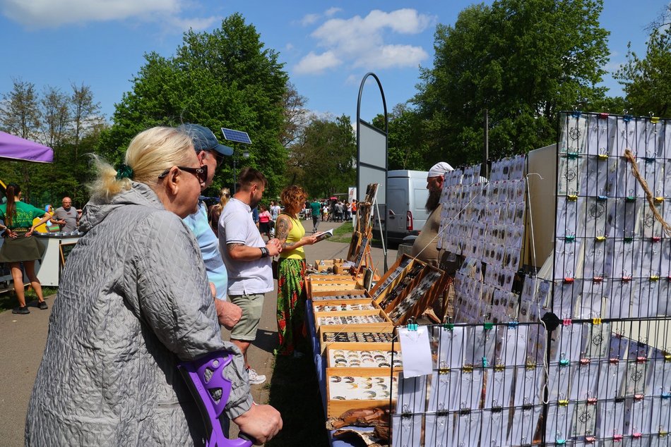 Łódź. Piknik na Młynku w Łodzi. Dmuchańce, alpaki, gigantyczne kręgle i rowery wodne