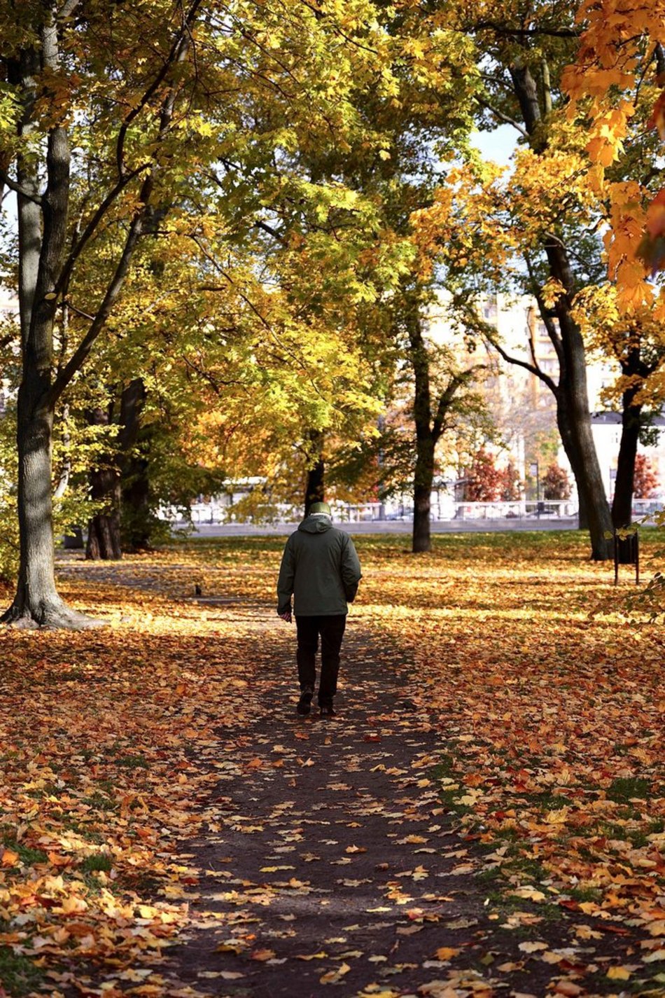 Łódź. Skwer Niemczyka w Łodzi wygląda zjawiskowo. Jesienne barwy nadają mu uroku