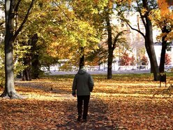 Łódź. Skwer Niemczyka w Łodzi wygląda zjawiskowo. Jesienne barwy nadają mu uroku