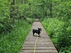 Łódź. To nie Mazury to Łódź. Gdzie znaleźć te wyjątkowe kładki?