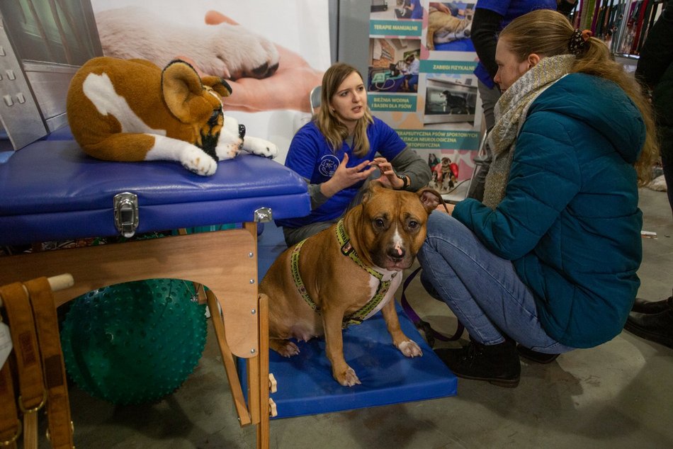Łódź. Targi dla Zwierzaków w Łodzi. Przy Piotrkowskiej 217 znajdziesz unikalne akcesoria i smakołyki