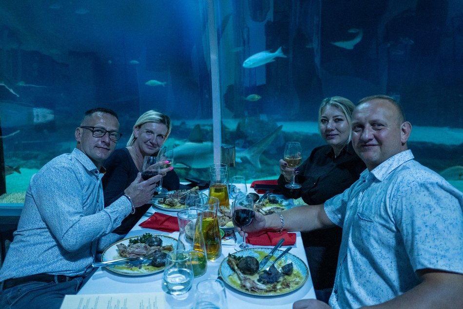 Łódź. Walentynki w Orientarium Zoo Łódź. Przysmaki, koncert na harfie i... zaręczyny