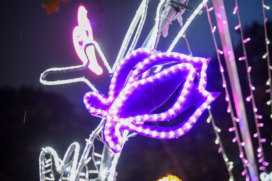 Park Miliona Świateł w Łodzi. Zobacz przedpremierowo największą zimową atrakcję!