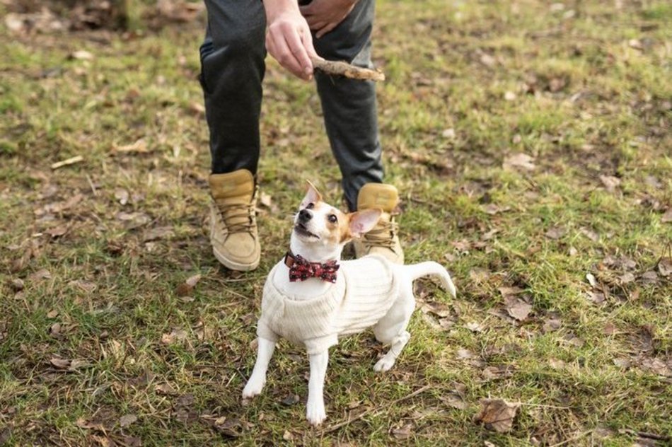 Nowe atrakcje w aż czterech parkach w Łodzi