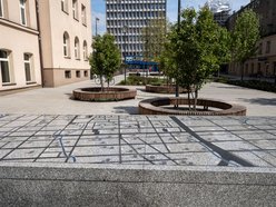 Łódź. Początki internetu w Łodzi