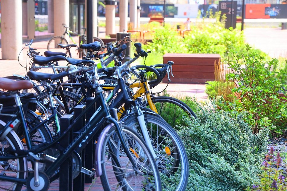 Łódź. Zieleń przy Bramie Miasta w Łodzi. Chwila oddechu w samym centrum