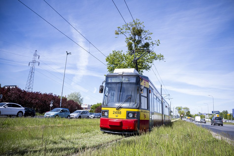 Łódź. Ponad 30 kilometrów najbardziej zielonych torowisk w Polsce? Oczywiście w Łodzi!