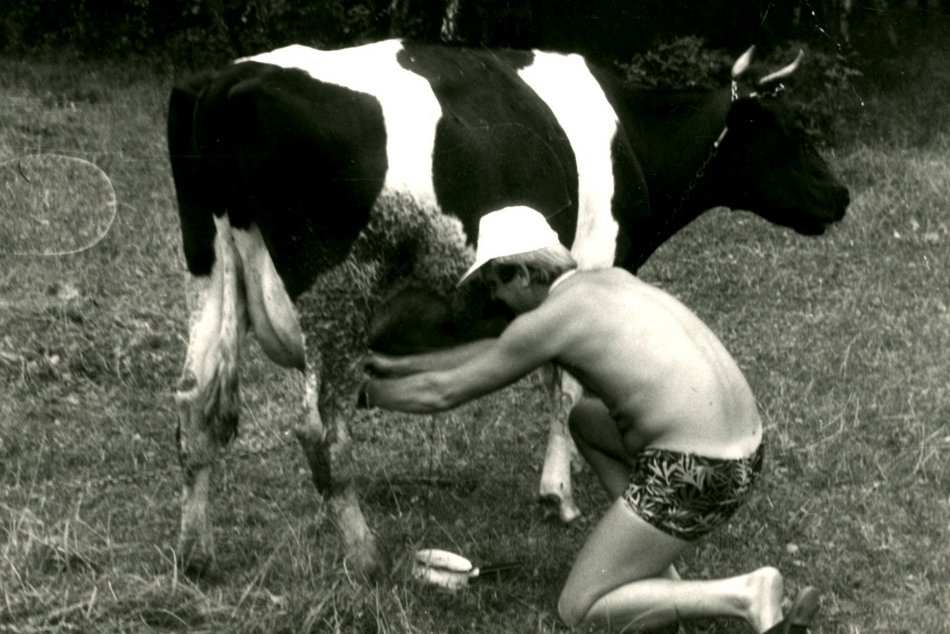 Łódź. Malinka w Zgierzu ma już 60 lat! Jak zmieniało się to popularne kąpielisko?