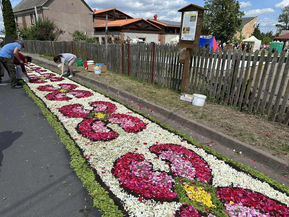 Łódź. Boże Ciało w Łódzkiem. Kwiatowe dywany w Spycimierzu