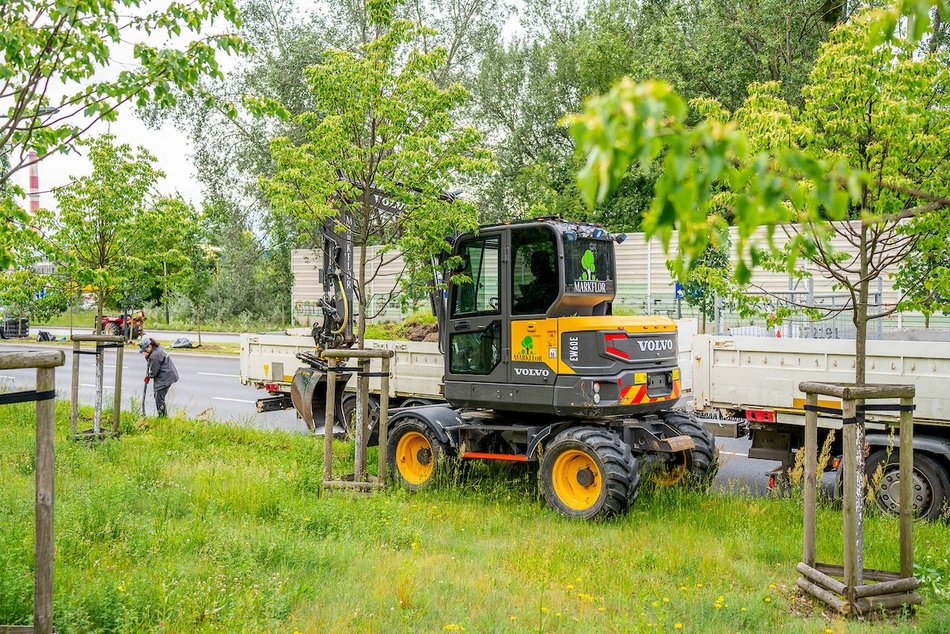 Łódź. Budżet Obywatelski Łódź 2025. Więcej zieleni przy Włókniarzy Łodzi