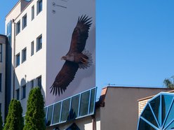 Nowy mural bielik w centrum Łodzi