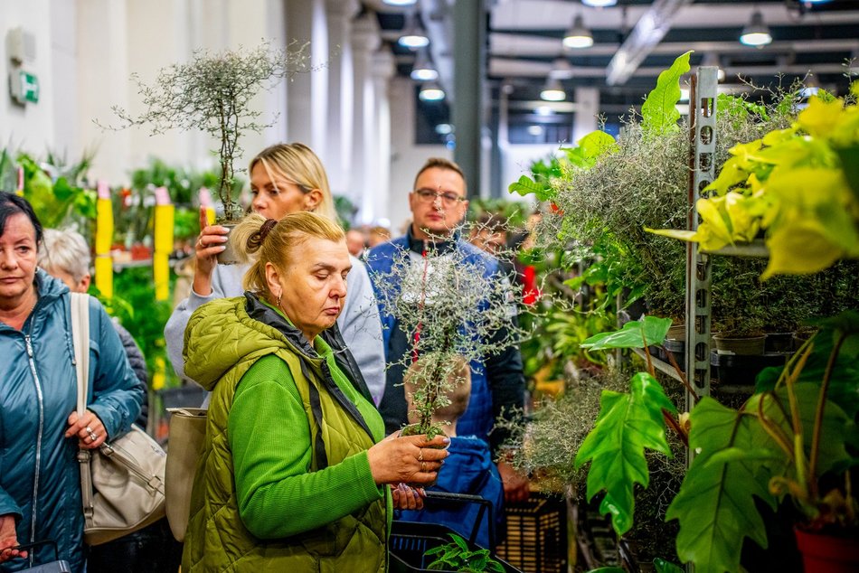 Festiwal Roślin w EC1 Łódź
