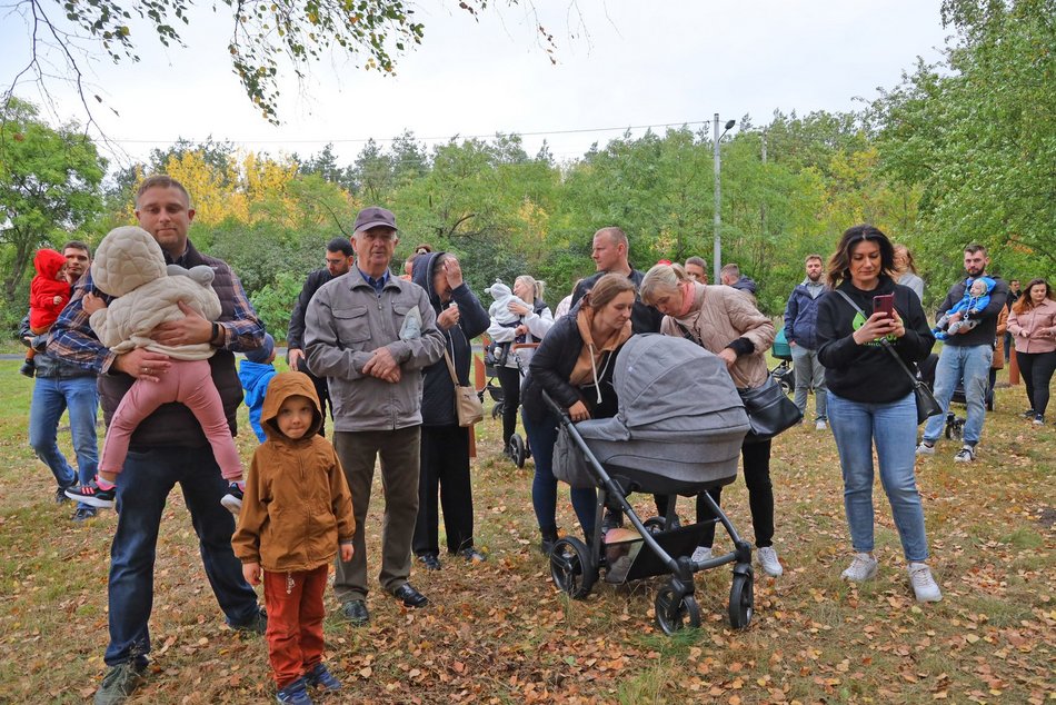 Rozrasta się Las Młodej Łodzi. Sadzenie drzew