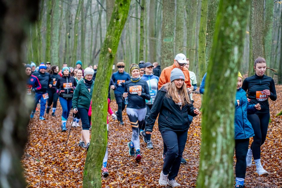 Cookie Run w Lesie Łagiewnickim w Łodzi