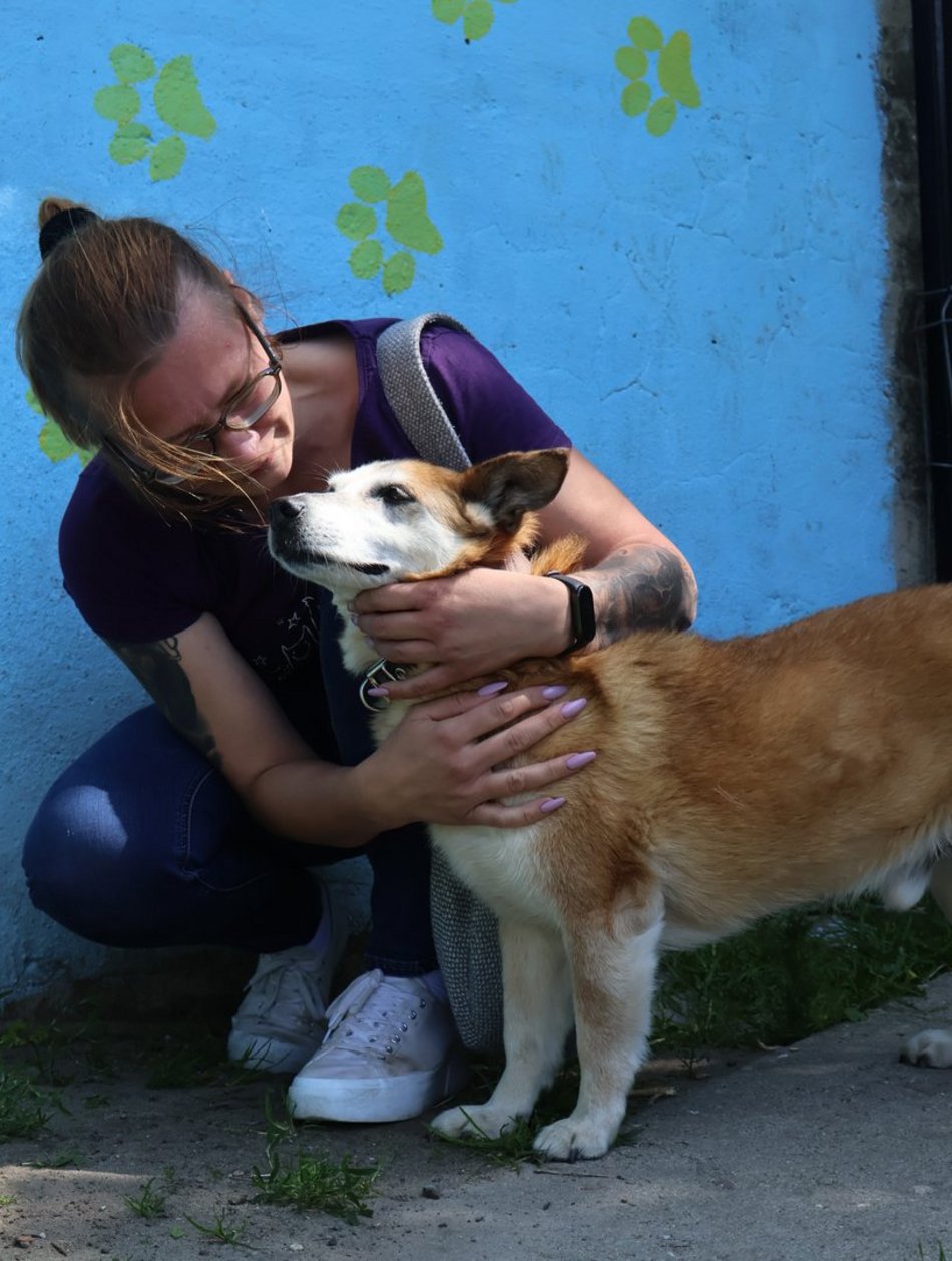 Łódź. Leon wreszcie znalazł dom! Po 10 latach czekania w schronisku w Łodzi