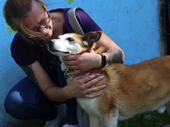 Łódź. Leon wreszcie znalazł dom! Po 10 latach czekania w schronisku w Łodzi