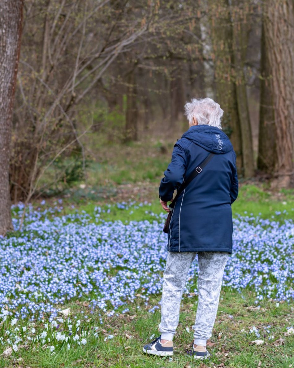 Wiosenny Ogród Botaniczny w Łodzi. Spacer wśród budzącej się do życia przyrody