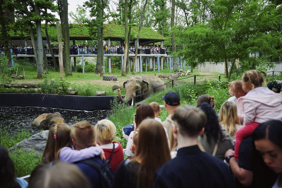 Łódź. Orientarium Zoo Łódź