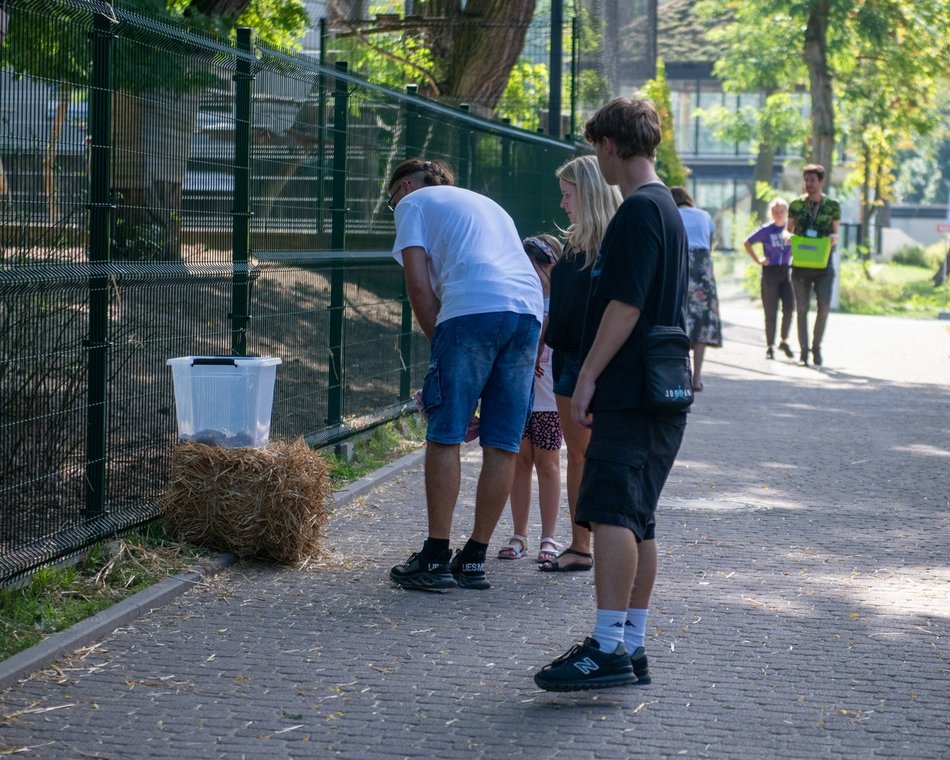 Wystawa odchodów zwierząt w Orientarium Zoo Łódź