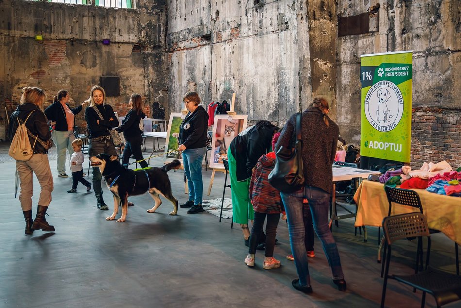Łódź. Co robić w weekend w Łodzi? Ravekjavik, wakacje na Piotrkowskiej, bifor przed Polówką