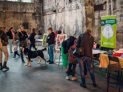 Łódź. Co robić w weekend w Łodzi? Ravekjavik, wakacje na Piotrkowskiej, bifor przed Polówką