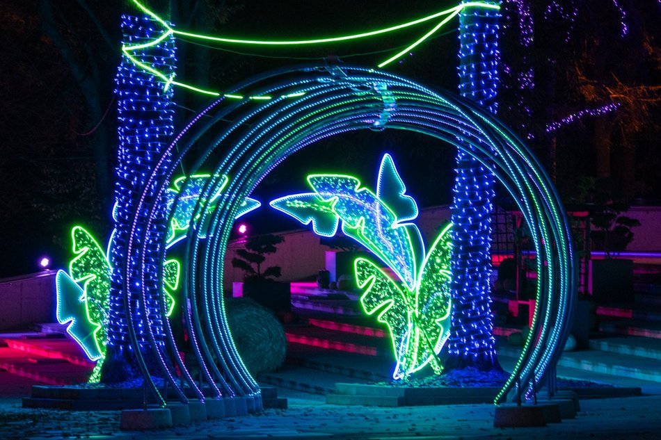 Park Miliona Świateł w Łodzi otwarty! Magiczne zwierzęta opanowały Orientarium Zoo Łódź