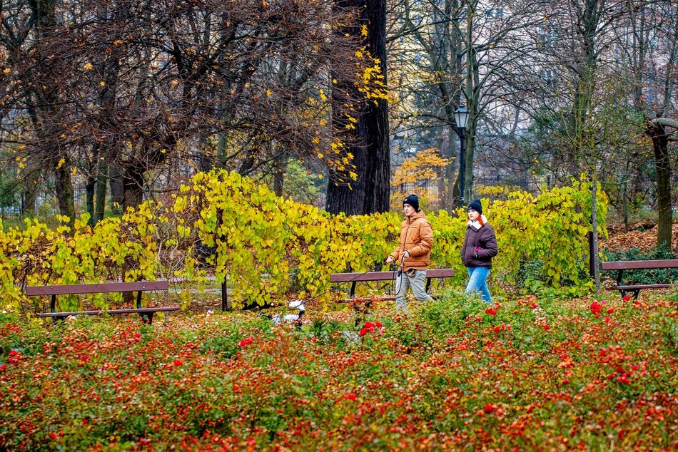 Weekend w Łodzi 21-23 listopada