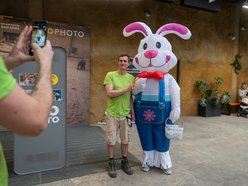 Łódź. Wielkanocny zając w Orientarium Zoo Łódź