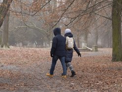 Łódź. Spacerowicze w parku Poniatowskiego