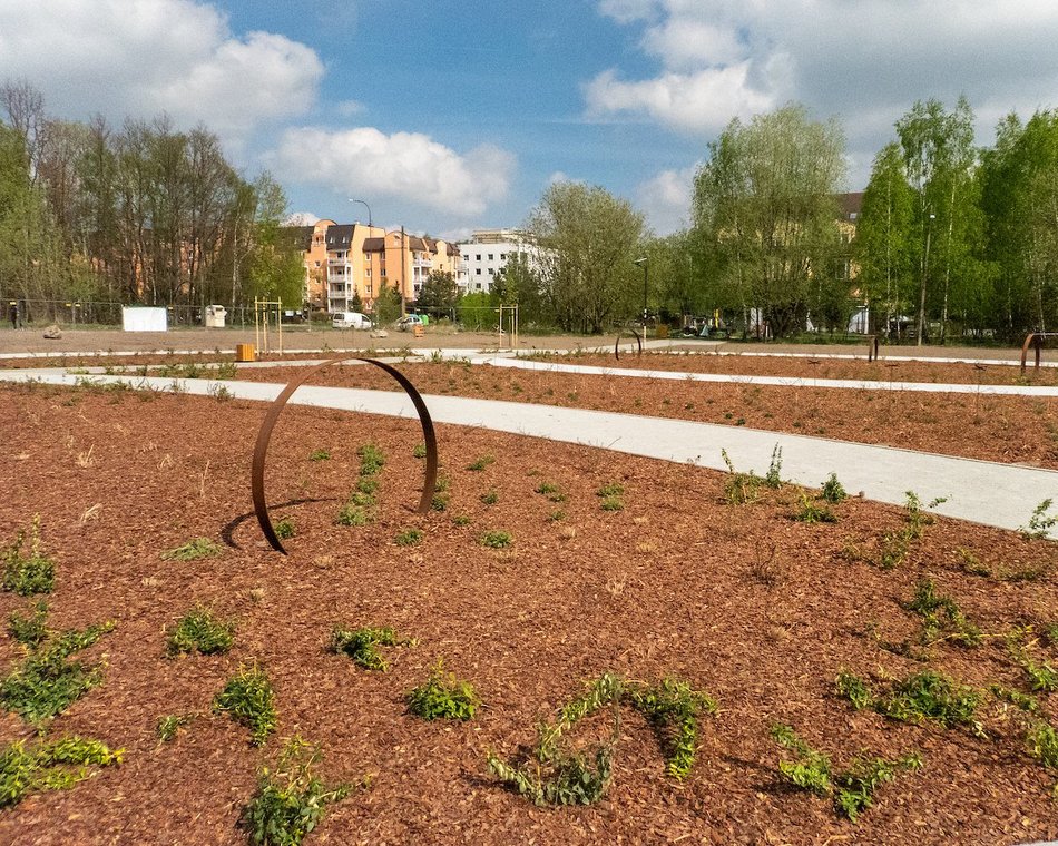 Łódź. Nowy park na Janowie w Łodzi. Kiedy podrosną rośliny, zobaczymy zieloną oazę