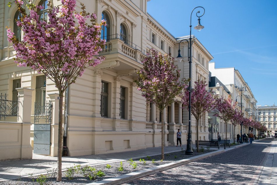 Łódź. TOP 10 woonerfów w Łodzi! To prawdziwe oazy zieleni w centrum miasta