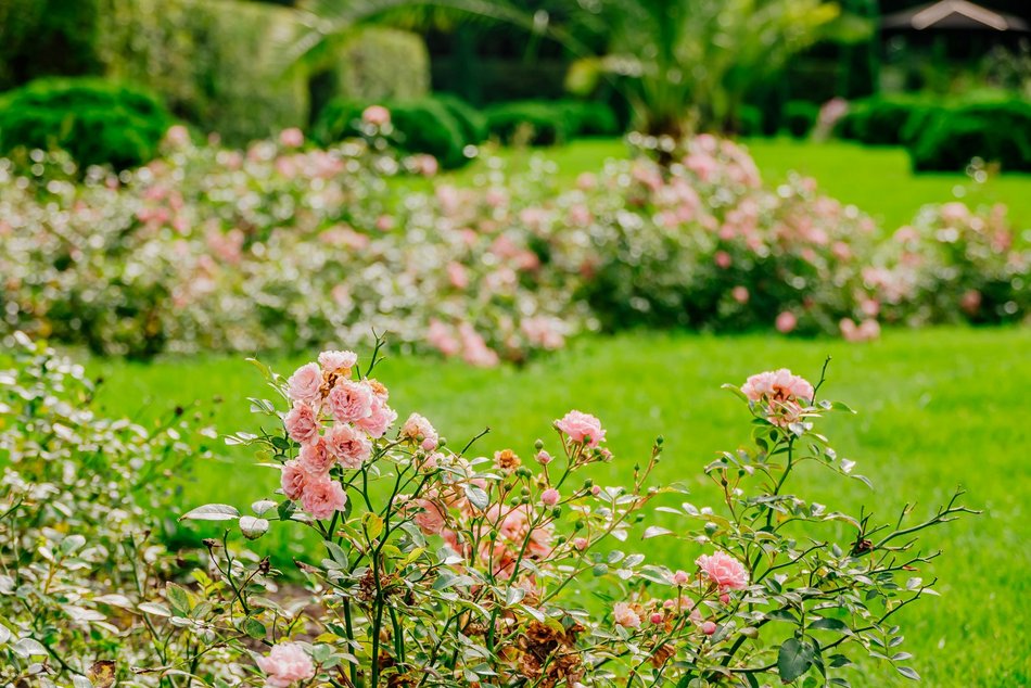 Łódź. Jesień w Ogrodzie Botanicznym w Łodzi. Tam z pewnością pokochasz tę porę roku!