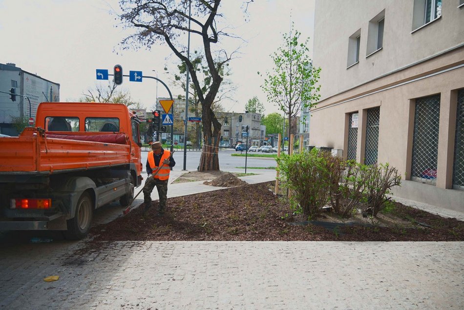 Łódź. Zielona rewolucja na Lutomierskiej w Łodzi. Posadzili ponad 20 nowych drzew!