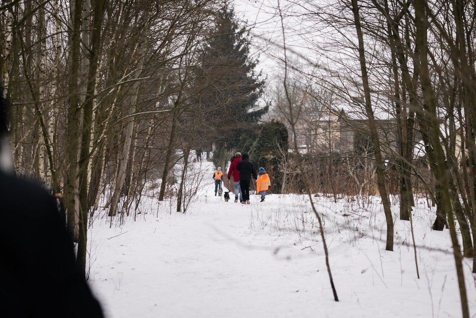 Łódź. Psy ze schroniska w Łodzi znów na spacerze! Dla tych wesołych pyszczków aż chce się chodzić!