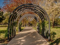 Park Staromiejski w Łodzi - wiosna, zieleń