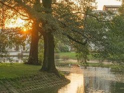 Nowości w parkach w Łodzi. Powstaną tężnie, tory dla rolkarzy i utwardzone alejki