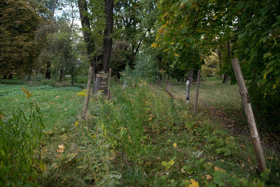 фото мат. преси