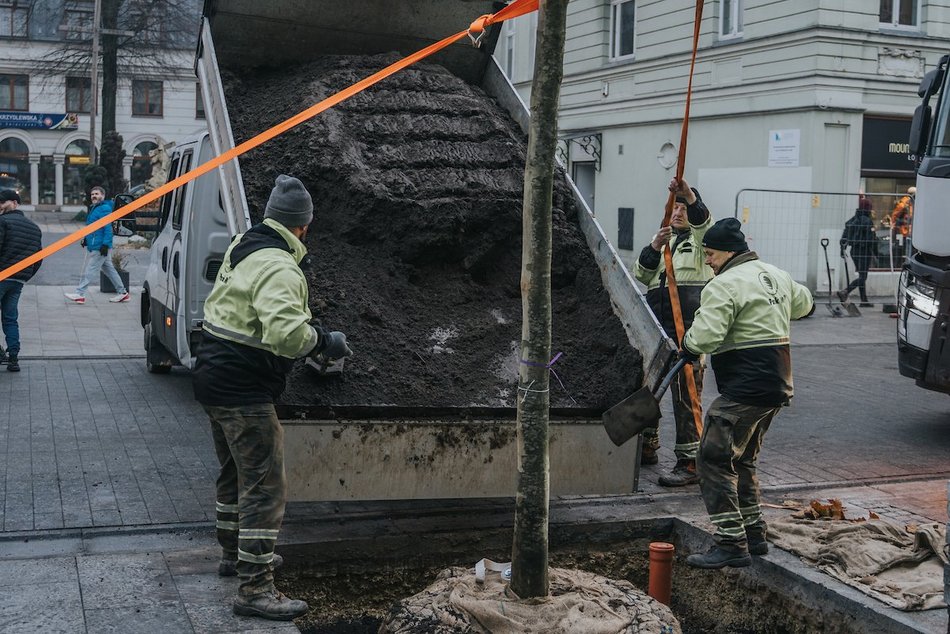 Łódź. Zielona metamorfoza Piotrkowskiej!