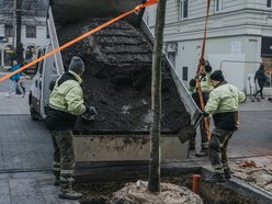 Łódź. Zielona metamorfoza Piotrkowskiej!