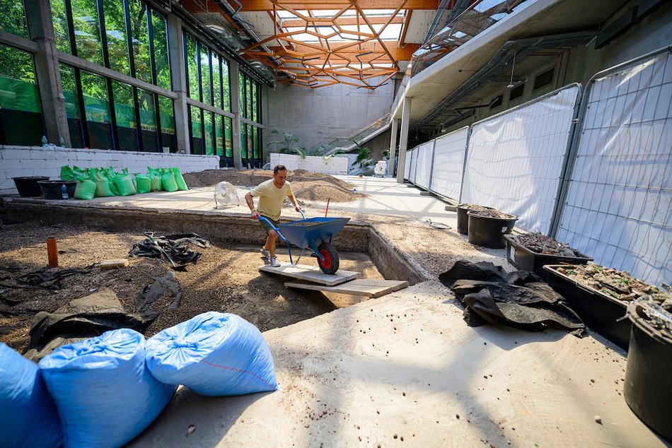 Łódź. Nowa atrakcja dla dzieci w Orientarium Zoo Łódź! Figloraj ze zjeżdżalniami, wieżą i tyrolką