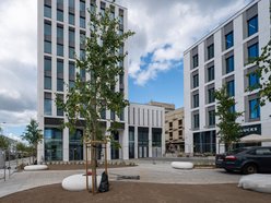 Przy Stajni Jednorożców w Łodzi robi się zielono! Widać już efekty odbetonowania