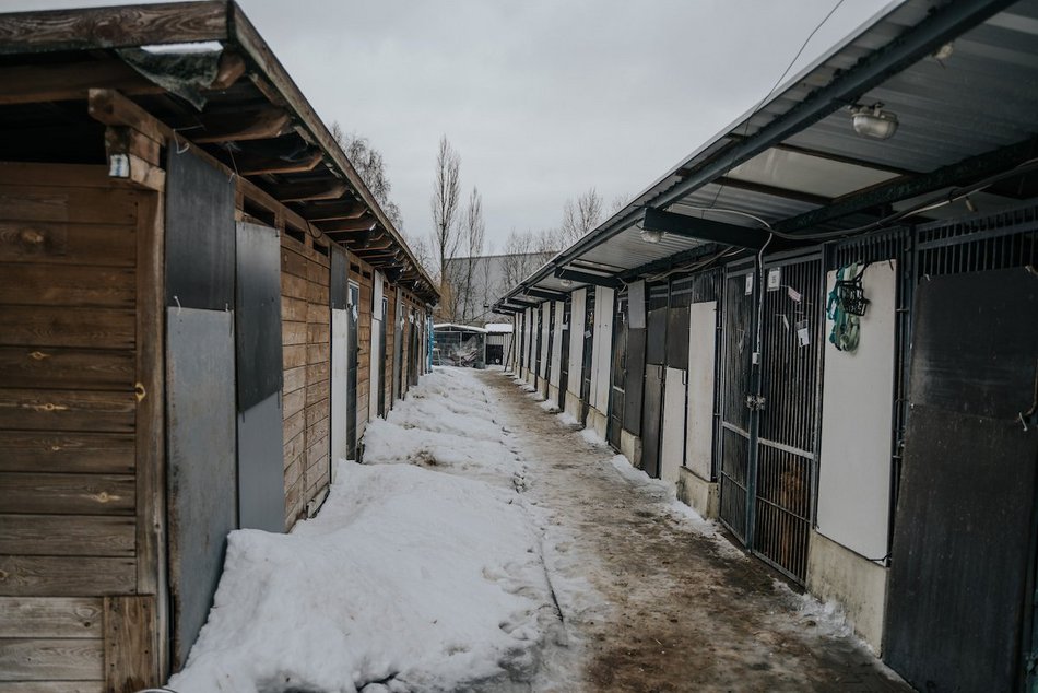 Łódź. Wielka metamorfoza schroniska w Łodzi