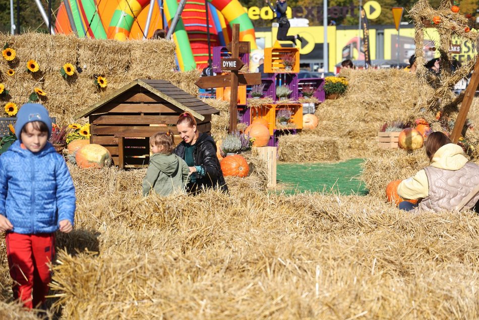 Farma Dyniowa w Pasażu Łódzkim