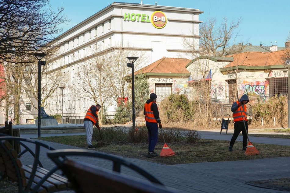 Łódź. Wiosenna pielęgnacja drzew w Łodzi. Dlaczego jest potrzebna?