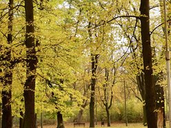 Łódź. Skwer Niemczyka w Łodzi wygląda zjawiskowo. Jesienne barwy nadają mu uroku