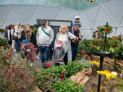 Motylarnia w Orientarium Zoo Łódź - motyle i odwiedzający w motylarni