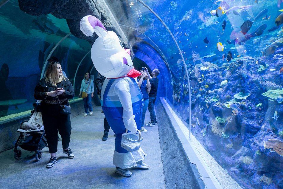 Łódź. Wielkanocny zając w Orientarium Zoo Łódź