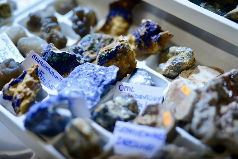 Festiwalu Zdrowia, Wróżb i Niezwykłości w Łodzi