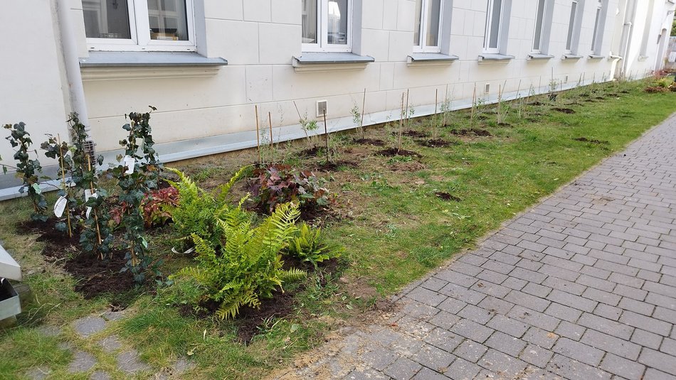 Podwórko przy Legionów 40